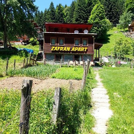 Villa Zafran Ayder Exterior foto