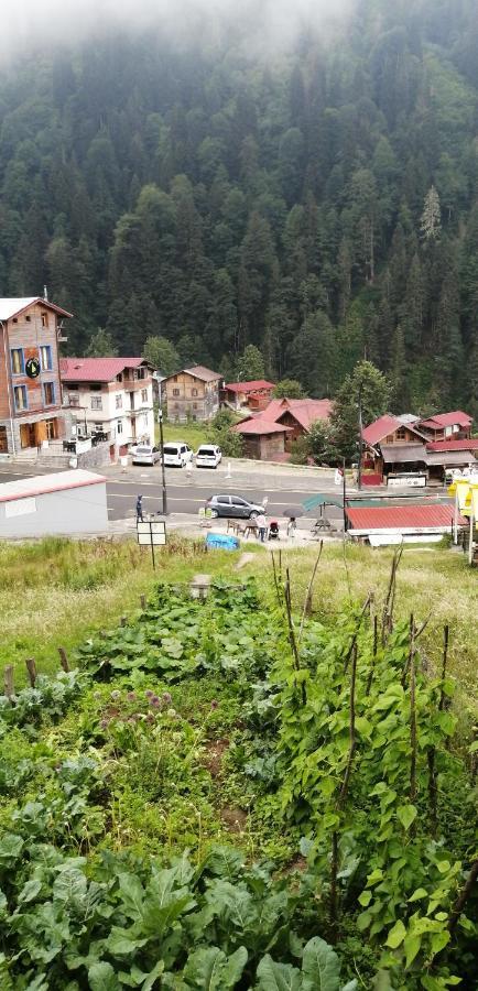 Villa Zafran Ayder Exterior foto